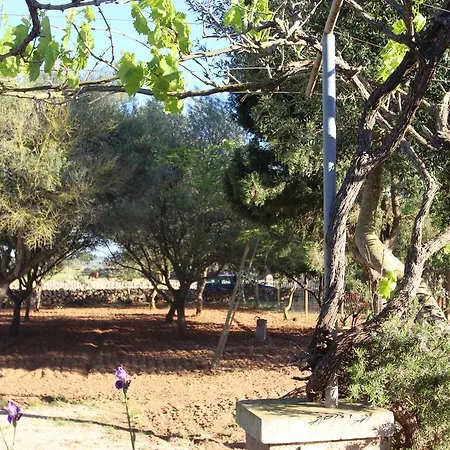 Villa Es Tres Pins *