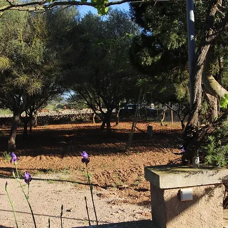 Villa Finca Es Tres Pins Campos (Mallorca)